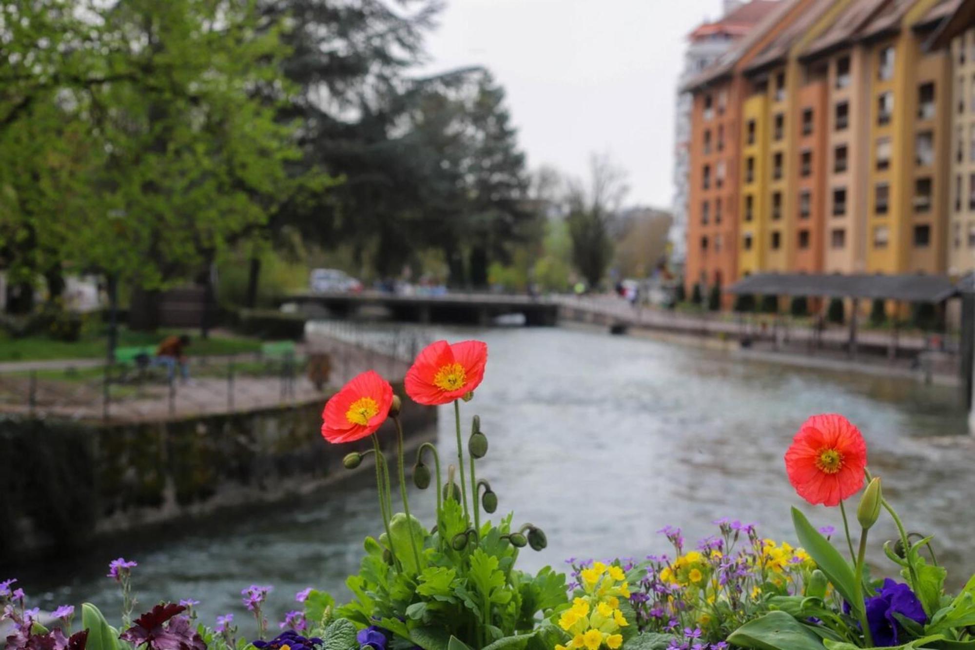 Le Coeur De Ville Splendide T2 Plein Centre Annecy Exteriör bild